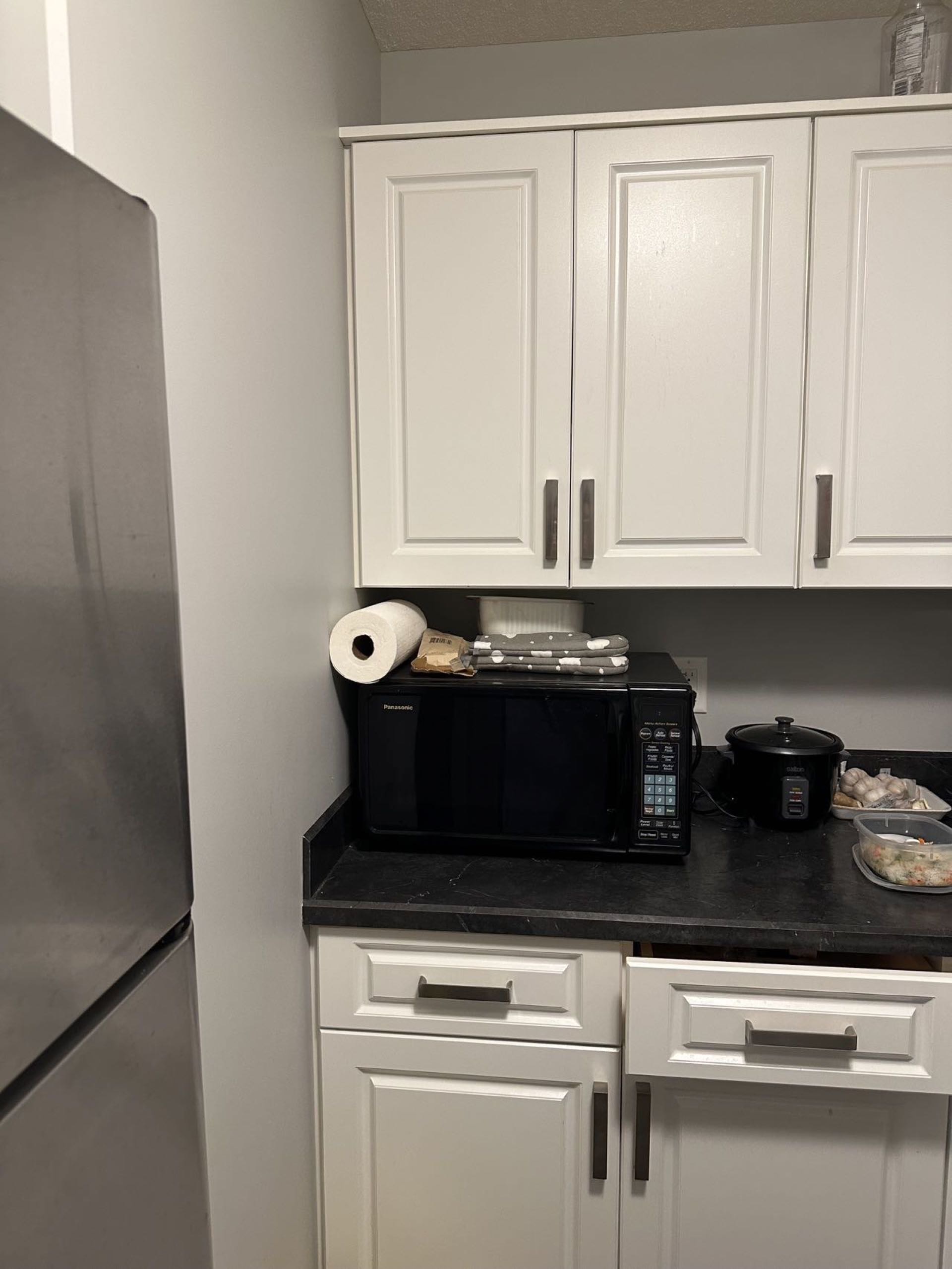 里贾纳东区独立出入半地下室法律套房出租 - 8