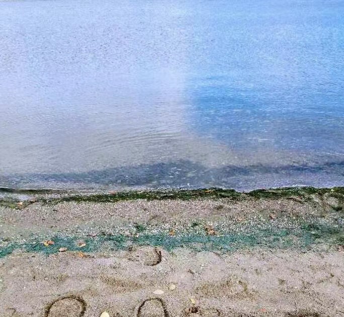 求租里贾纳东区townhouse