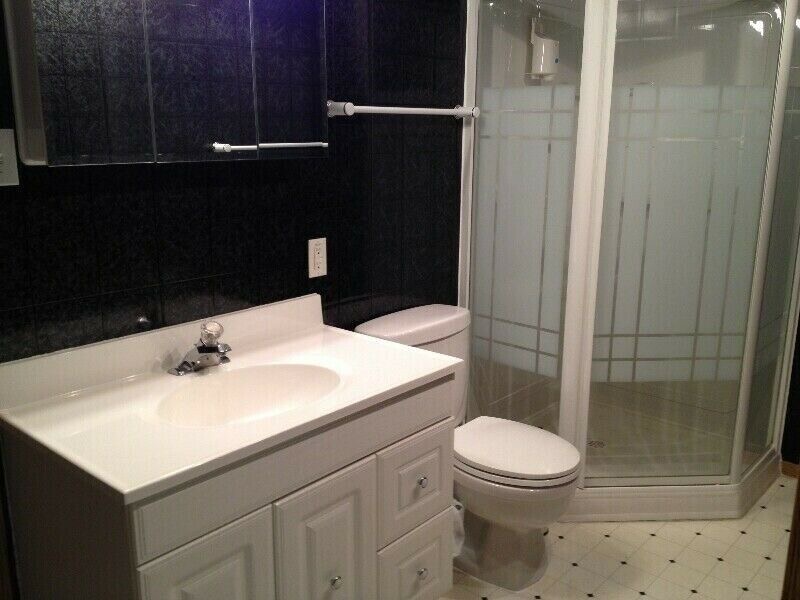 地下室带独立厨房和卫生间套间出租 - 9