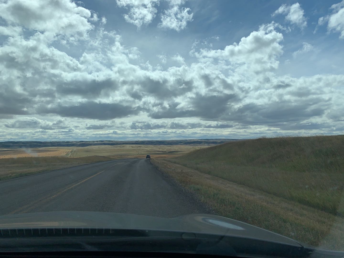 Downtown附近求租1室或2室公寓