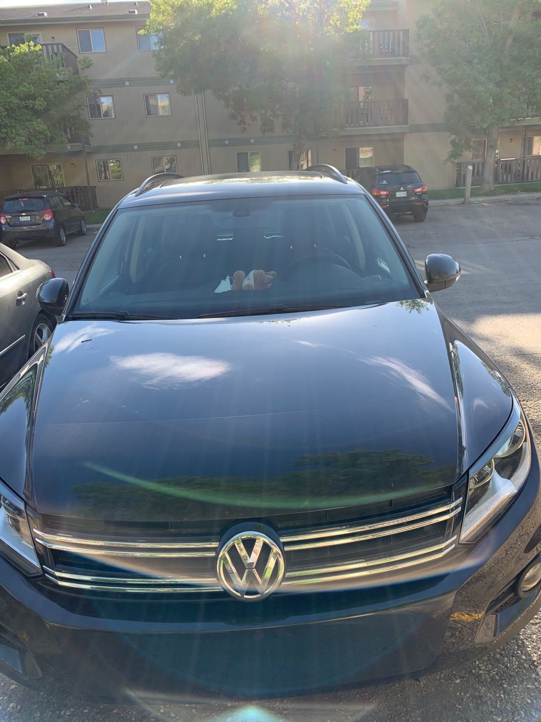 车况极好的2016 Tiguan 现出售$17300 - 2