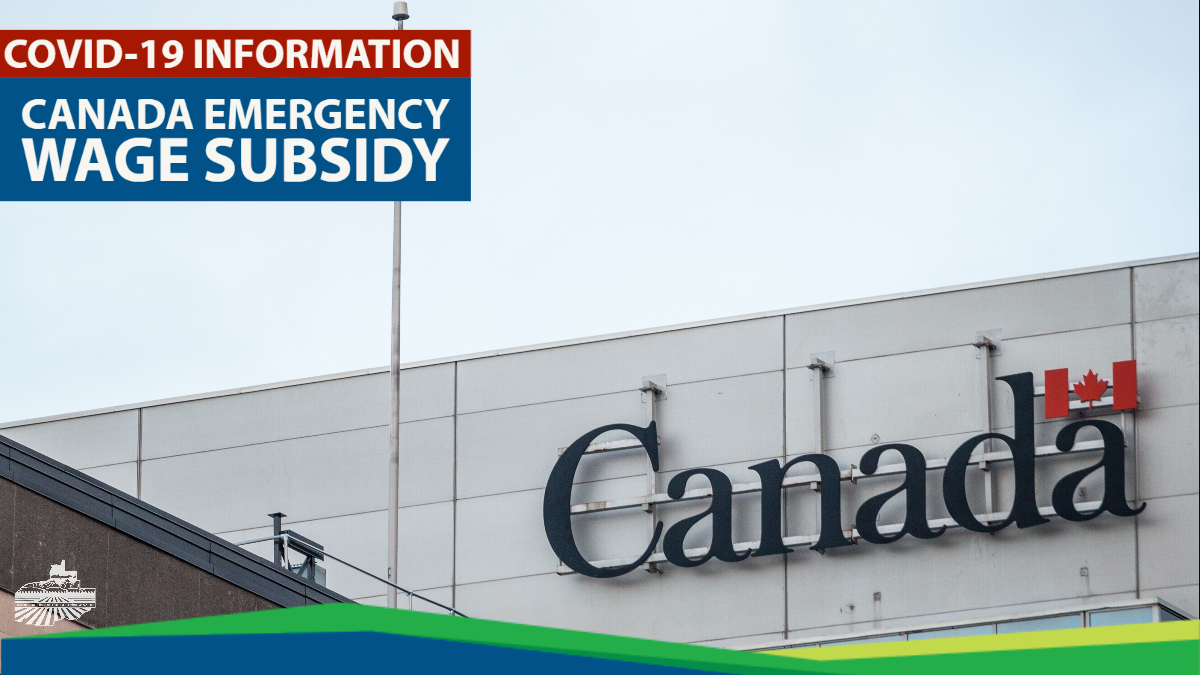 【8月15日】加拿大紧急工资补贴（CEWS）福利-萨省企业家移民也能申请吗？