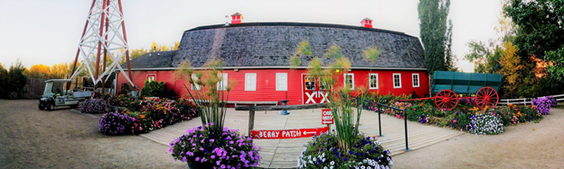 7月31日萨屯经典夏日田园采摘活动