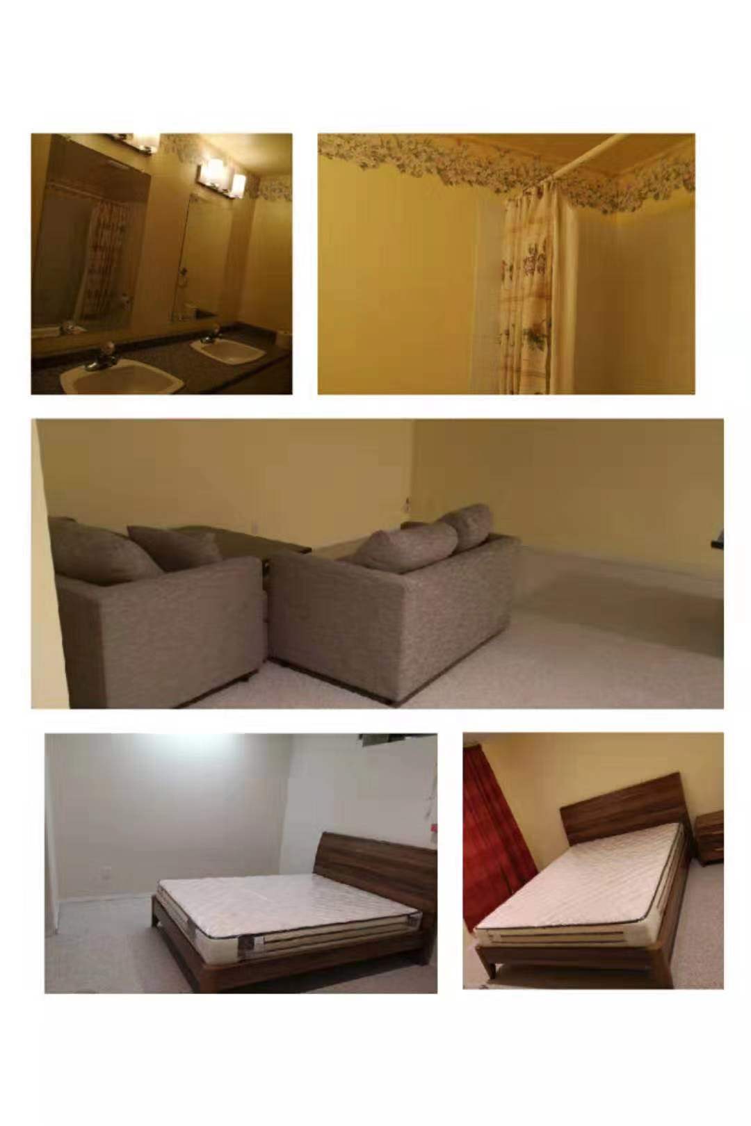 招租Homestay学生