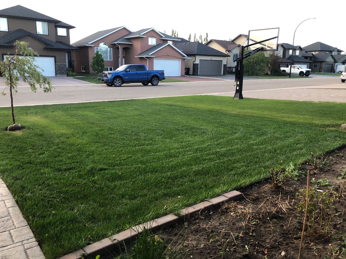 Willow grove 好房好房东home stay - 5