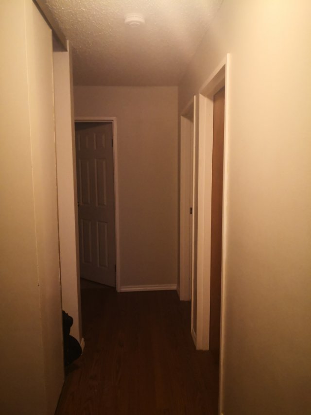 203a tait place 3居公寓 出租