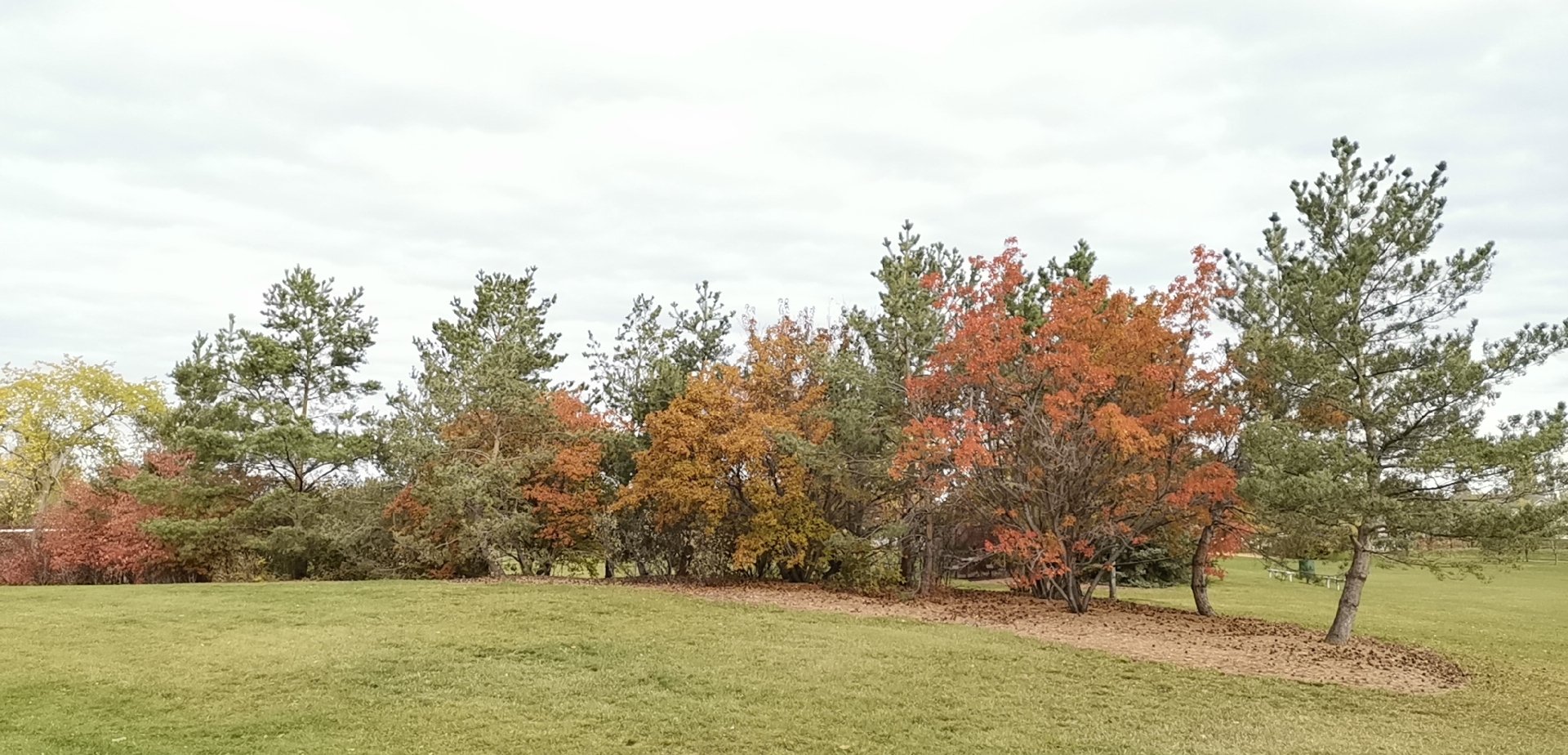 求租：面积20-30平米，性价比高的商业办公房。