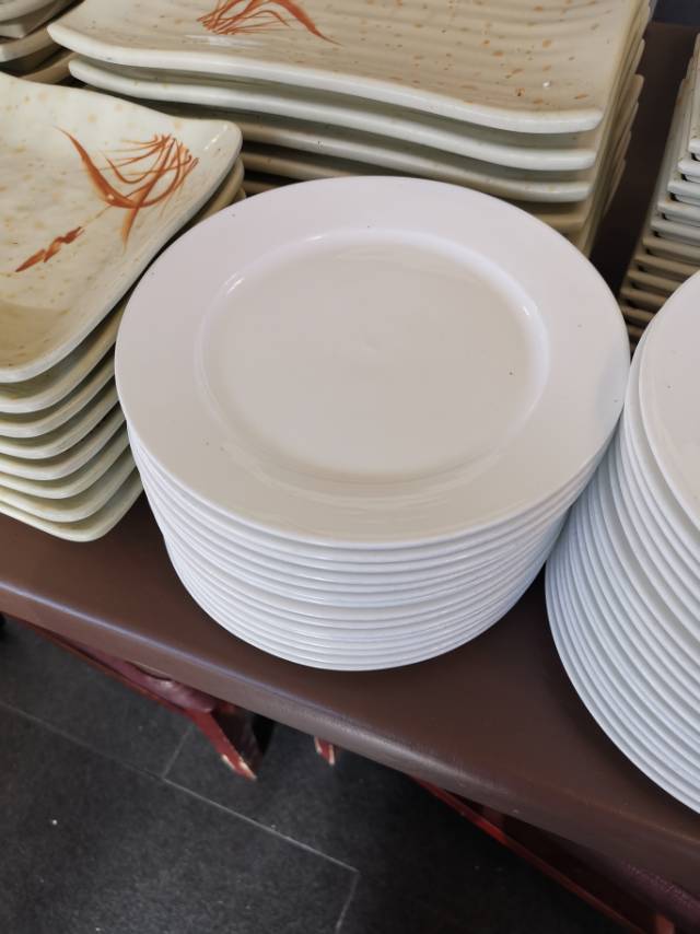 100只新杯及6寸餐喋，0.5元 - 2