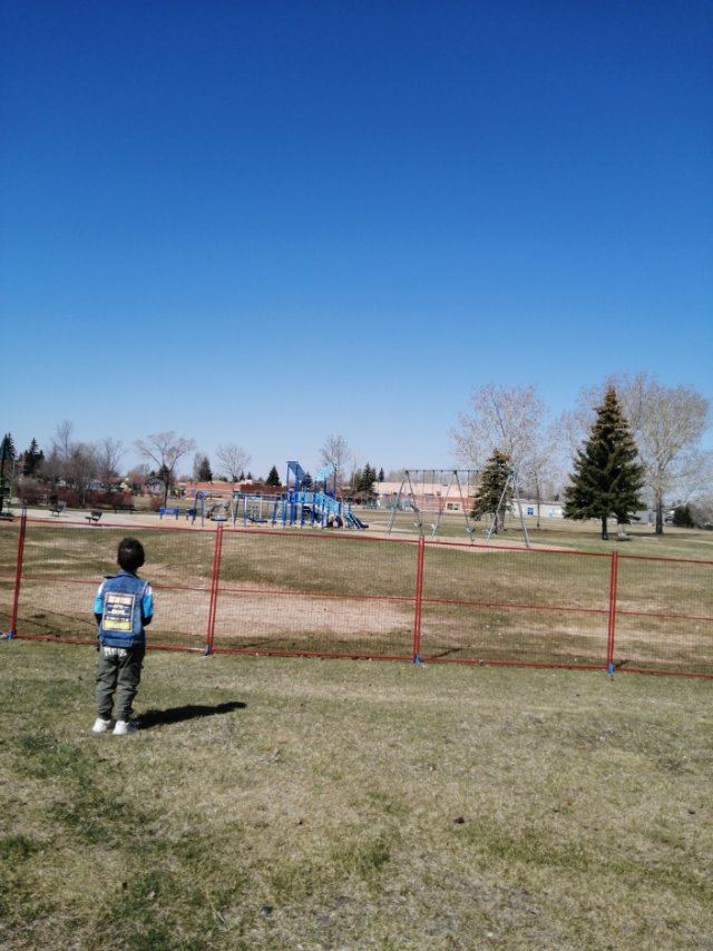 求租多伦多哈密尔顿两室房源