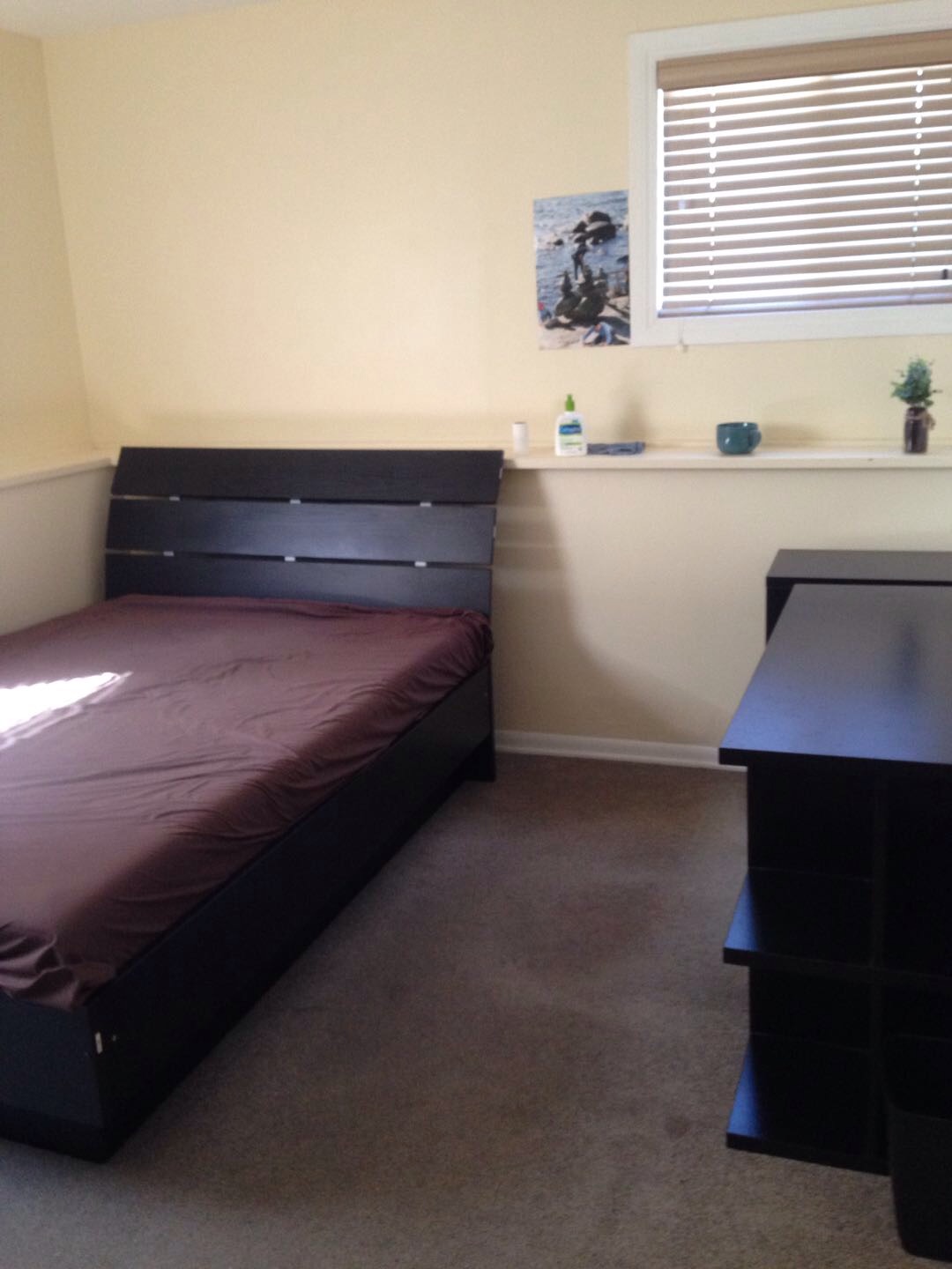 出租萨大附近好房间（限女生） - 2