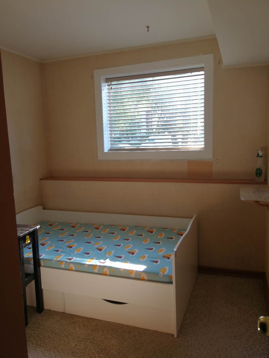 出租萨大附近好房间（限女生） - 4