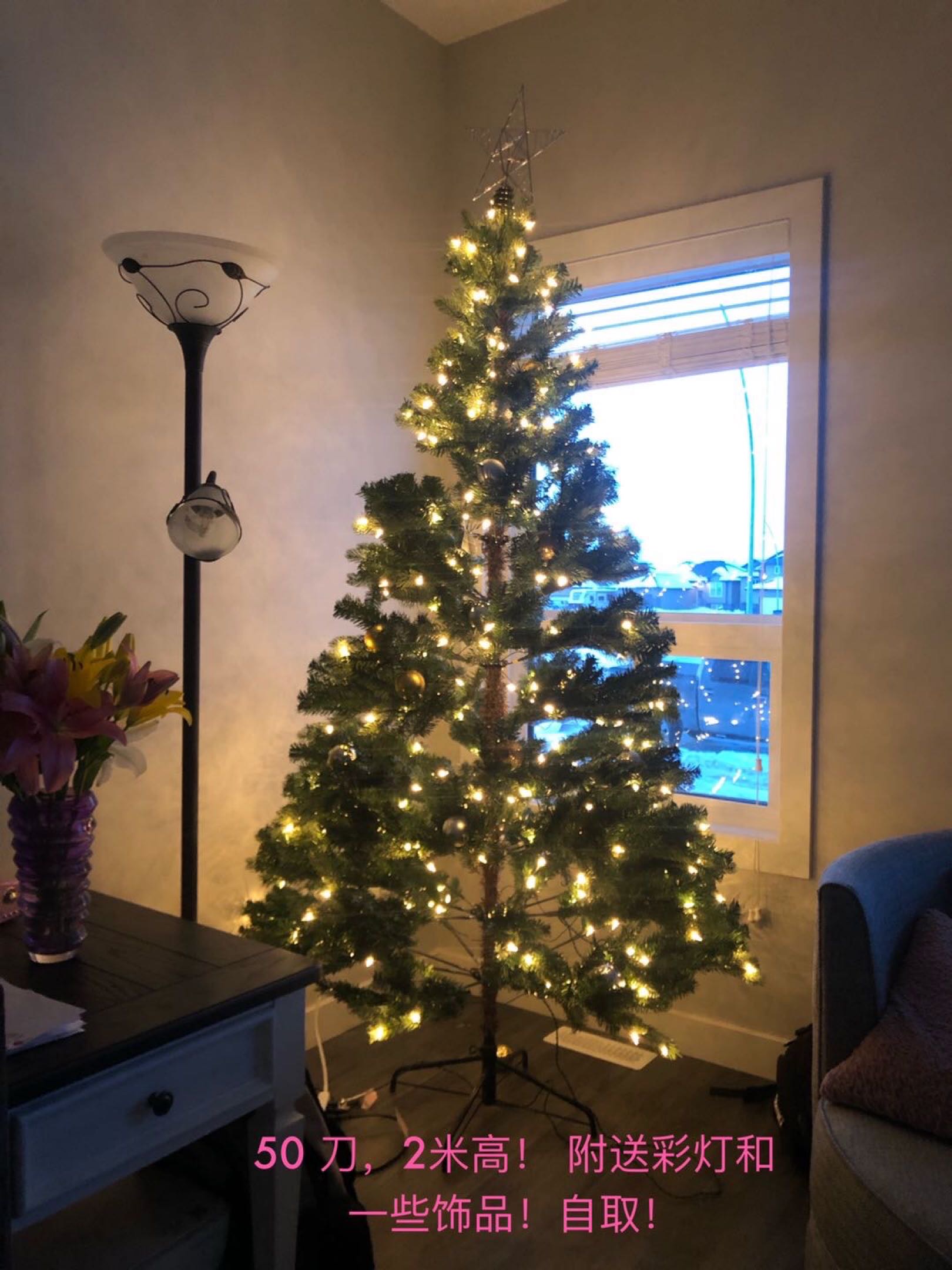 圣诞树🎄