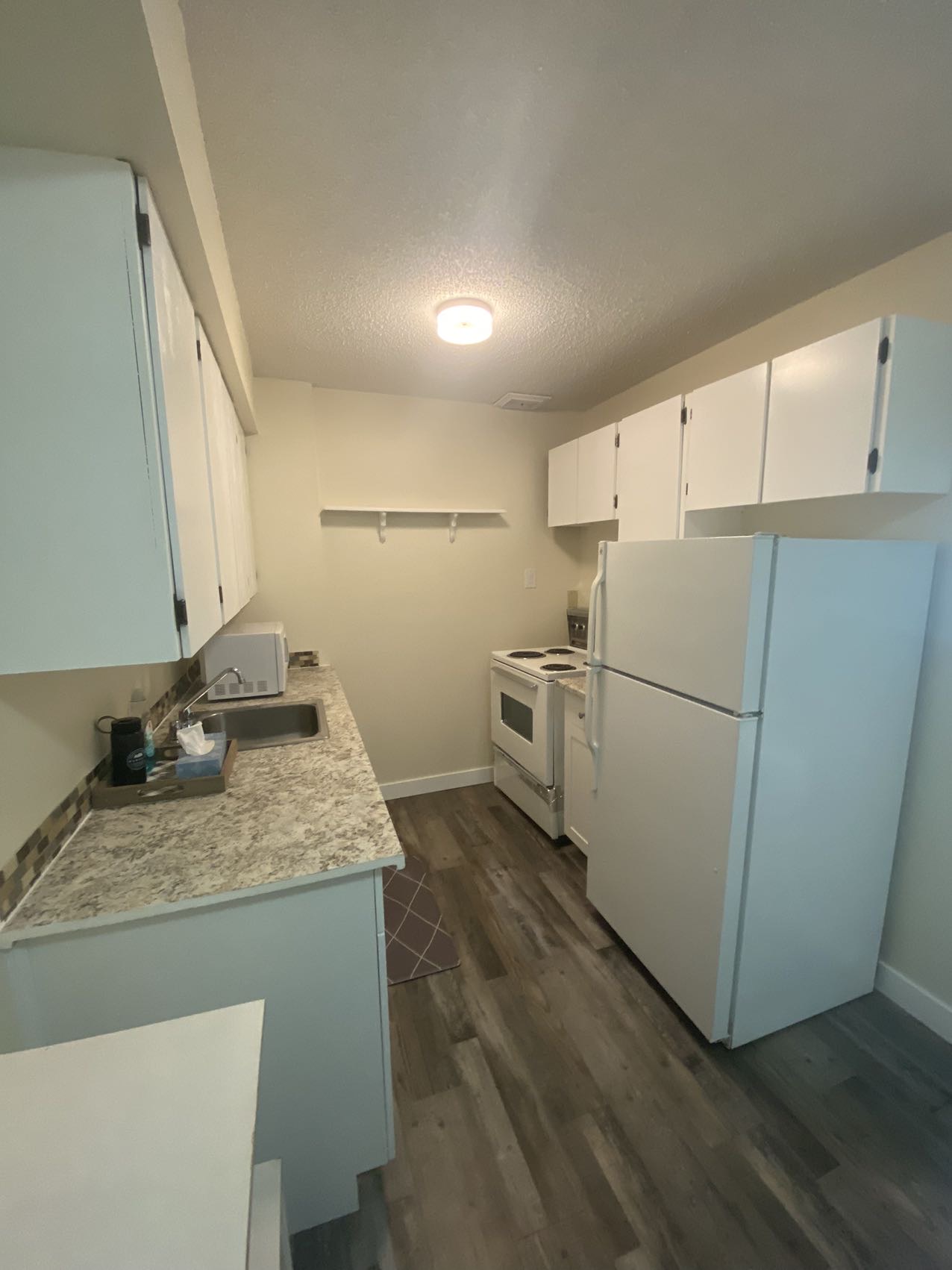 里贾纳大学附近学区房，3卧2卫condo, 可拎包入住 - 4