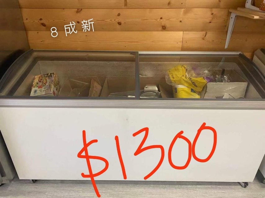 店铺专用冰柜