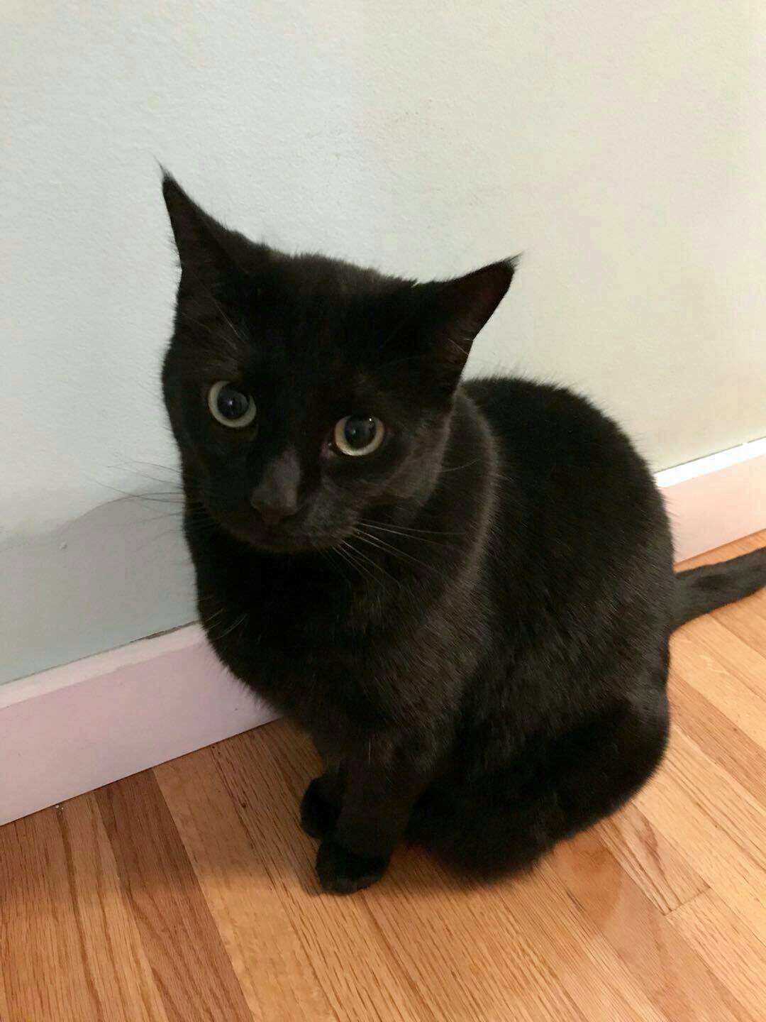 求租房间或者一室一卫 - 2