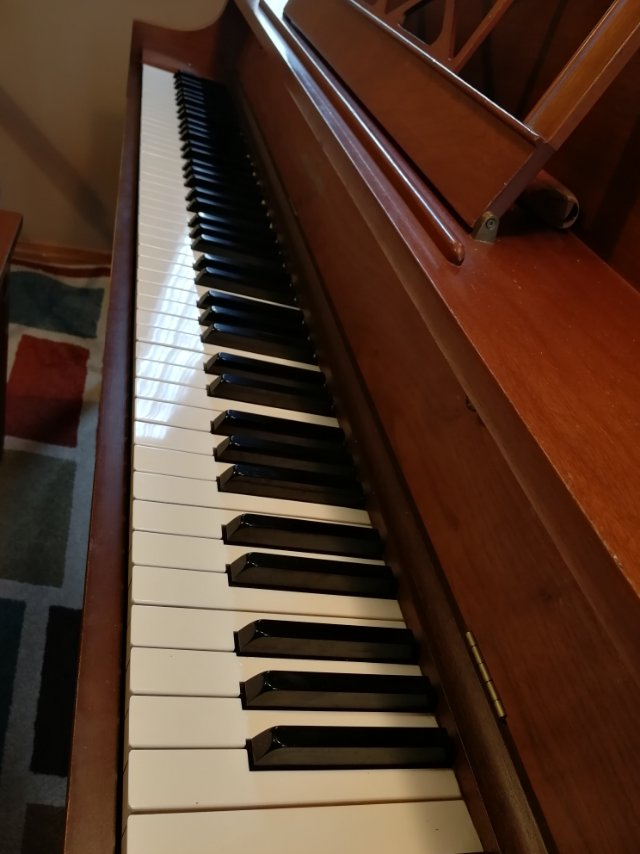 🎹 启蒙教学