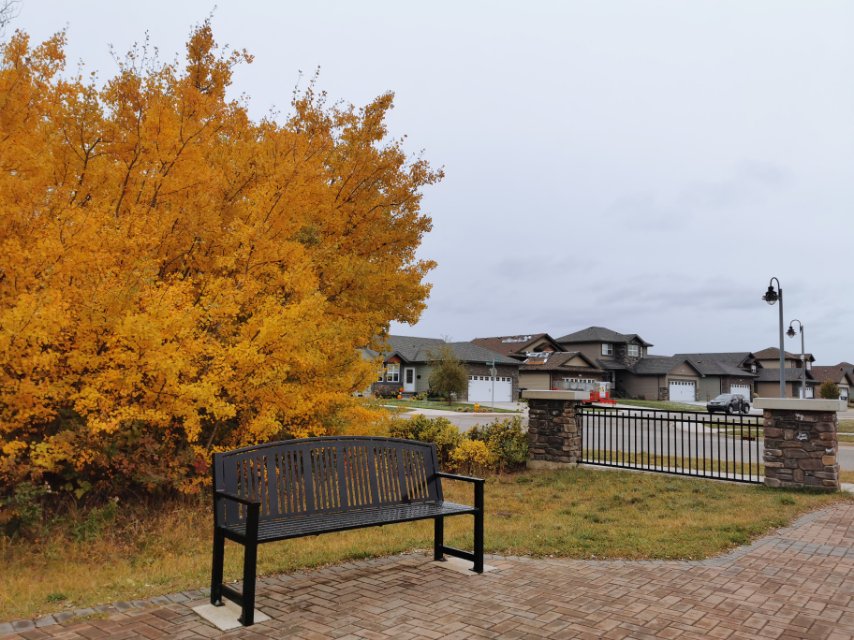 求租SEEK RENT：SEEK RENT Townhouse  in Stonebridge.