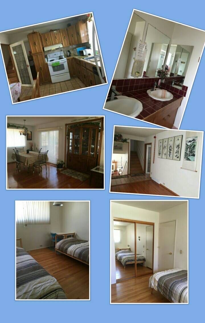 Varsity 女性房間出租，近Market mall, U of C