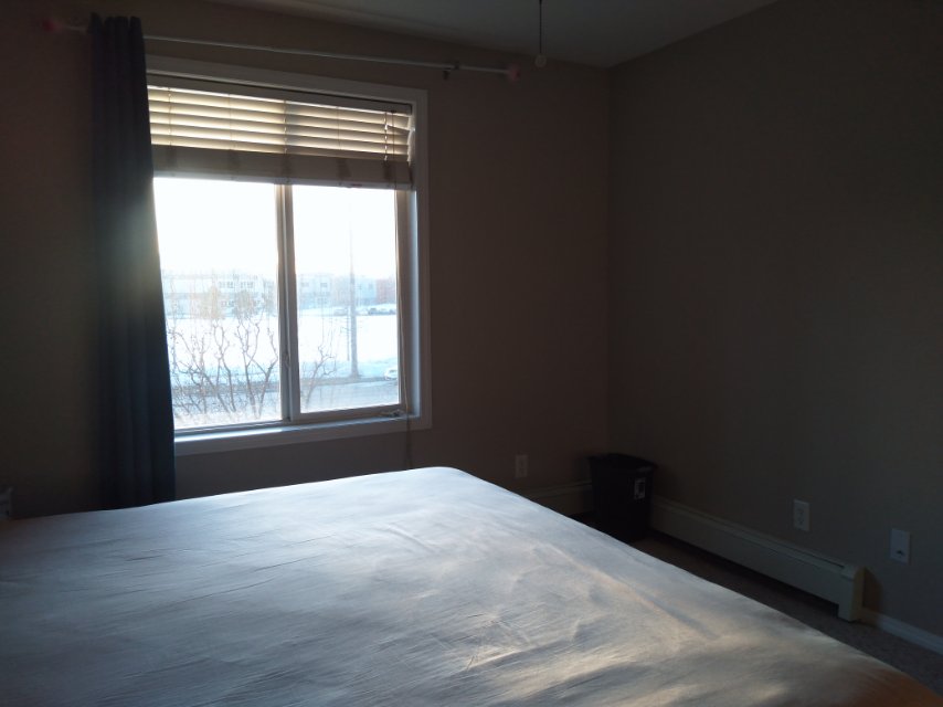 房间出租近Centennial高中 - 4