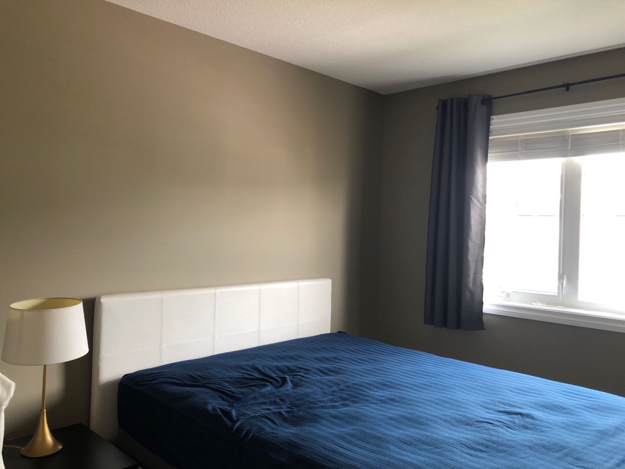 Wascana东边出租，招一名女生室友