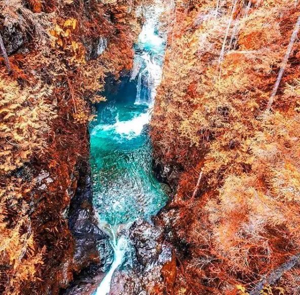 温哥华十月活动集锦