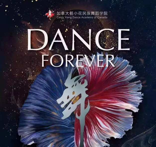 大温 2019.11.1-11.8一周活动：杨小花民族舞蹈学院表演来了