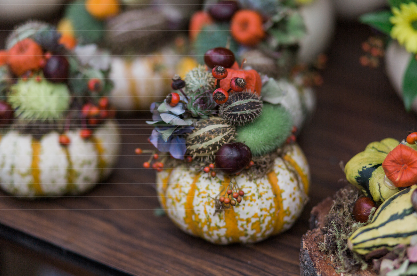 兰利堡蔓越莓节