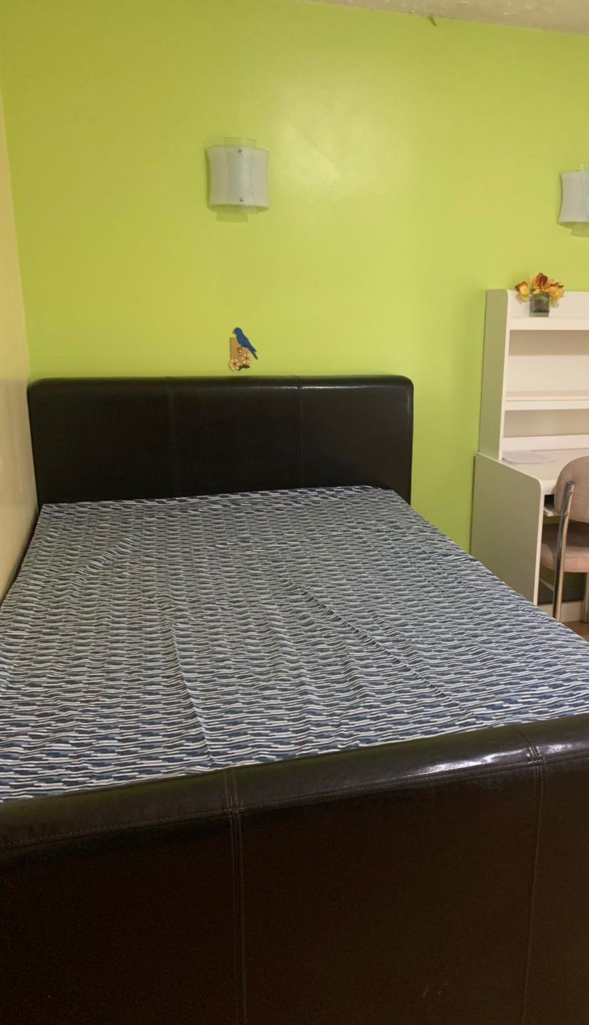 里贾纳大学旁房屋出租 - 5