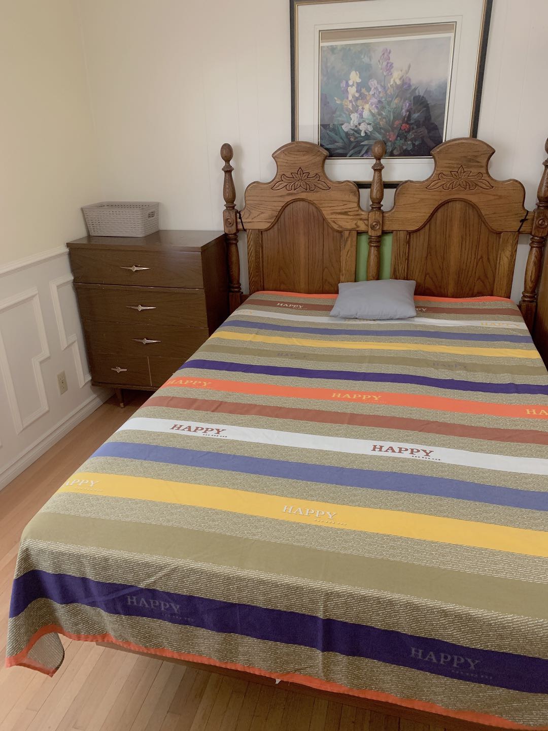 里贾纳大学房屋出租 - 4