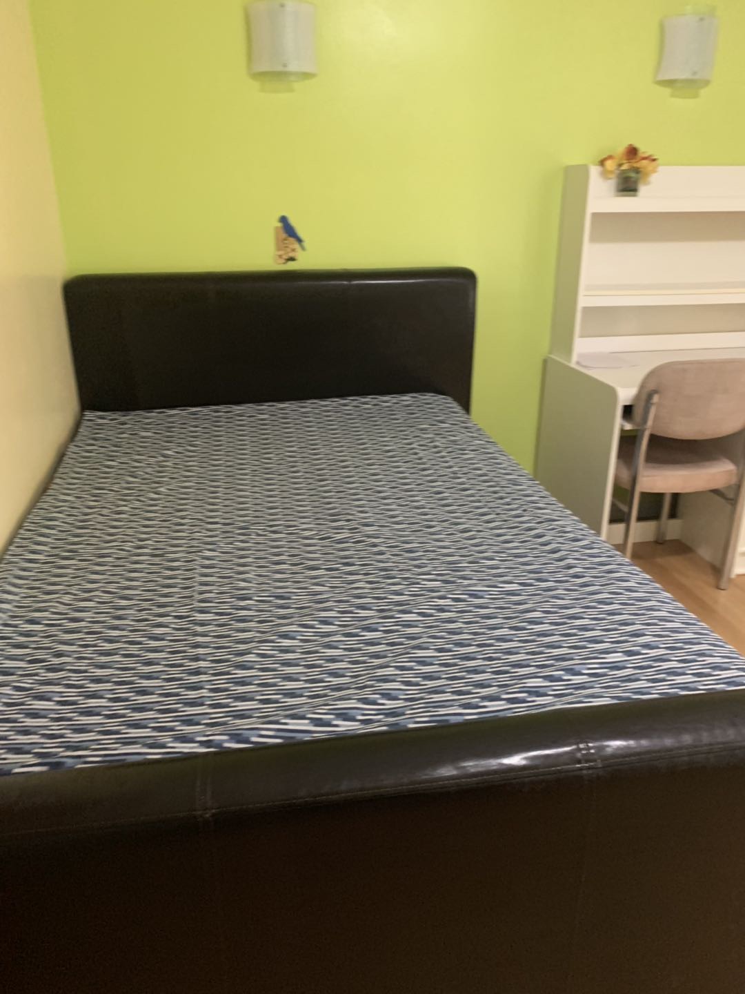 里贾纳大学house出租 - 3