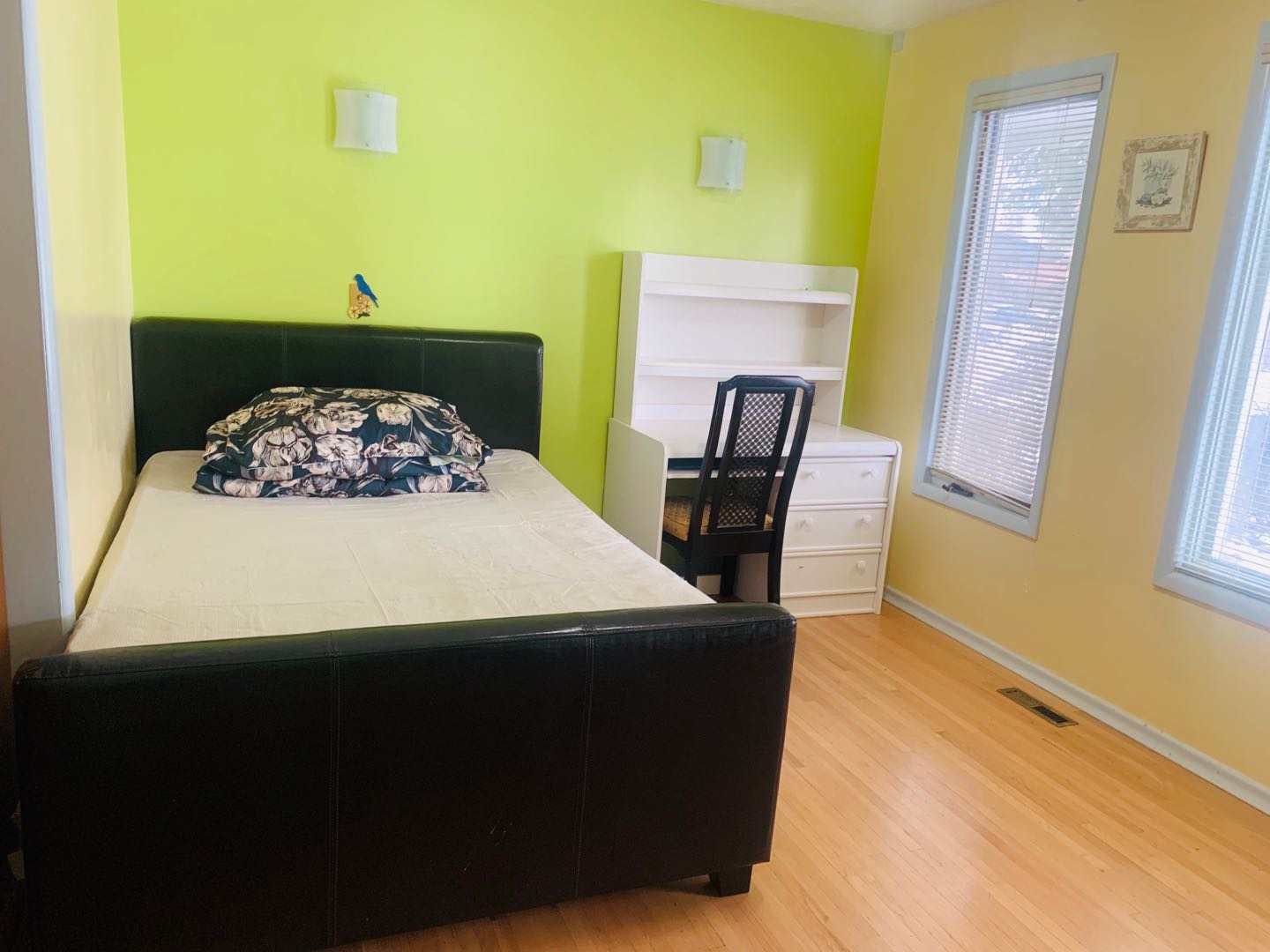 里贾纳大学旁独立屋出租