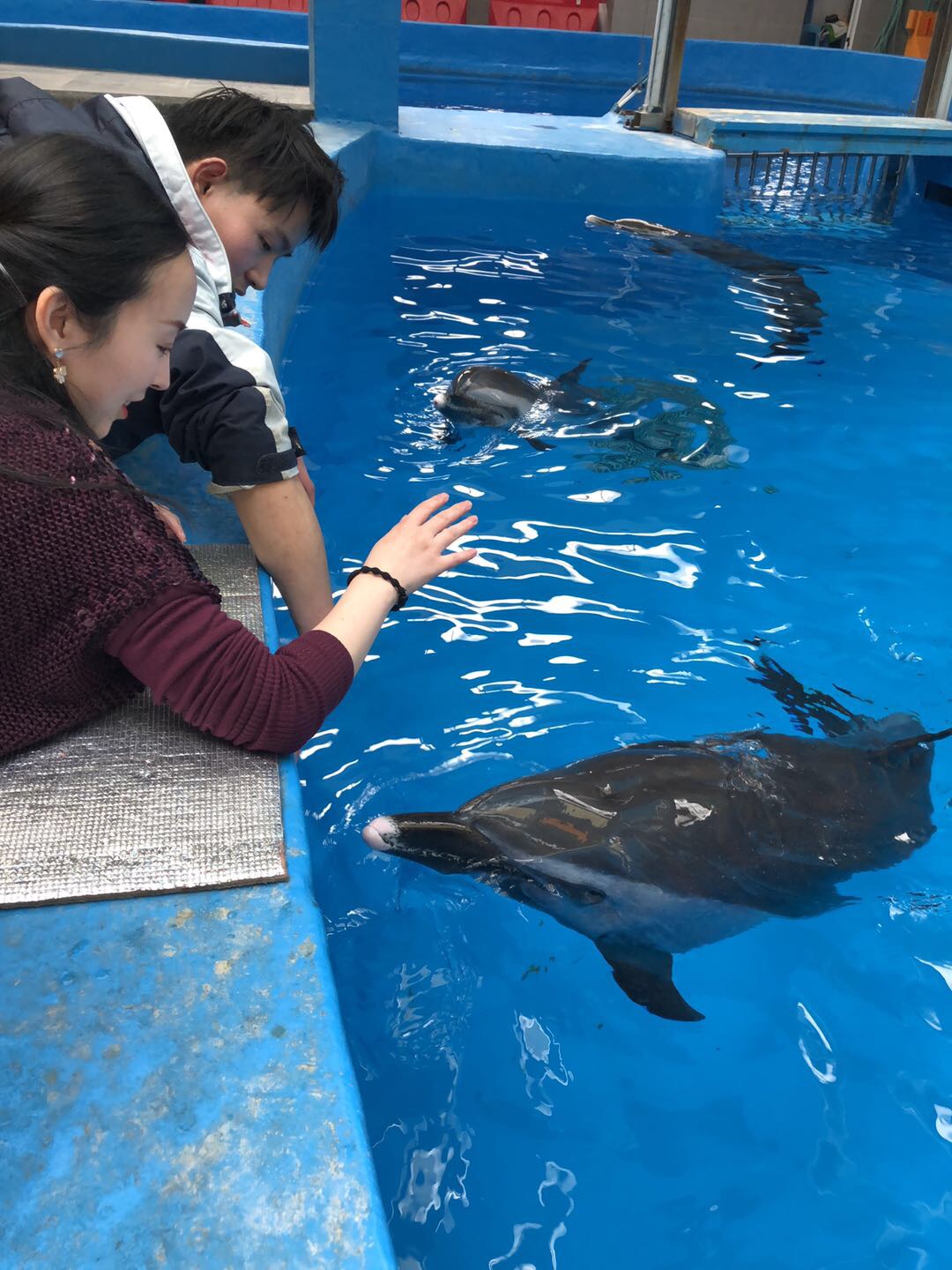 求租萨屯主卧一间