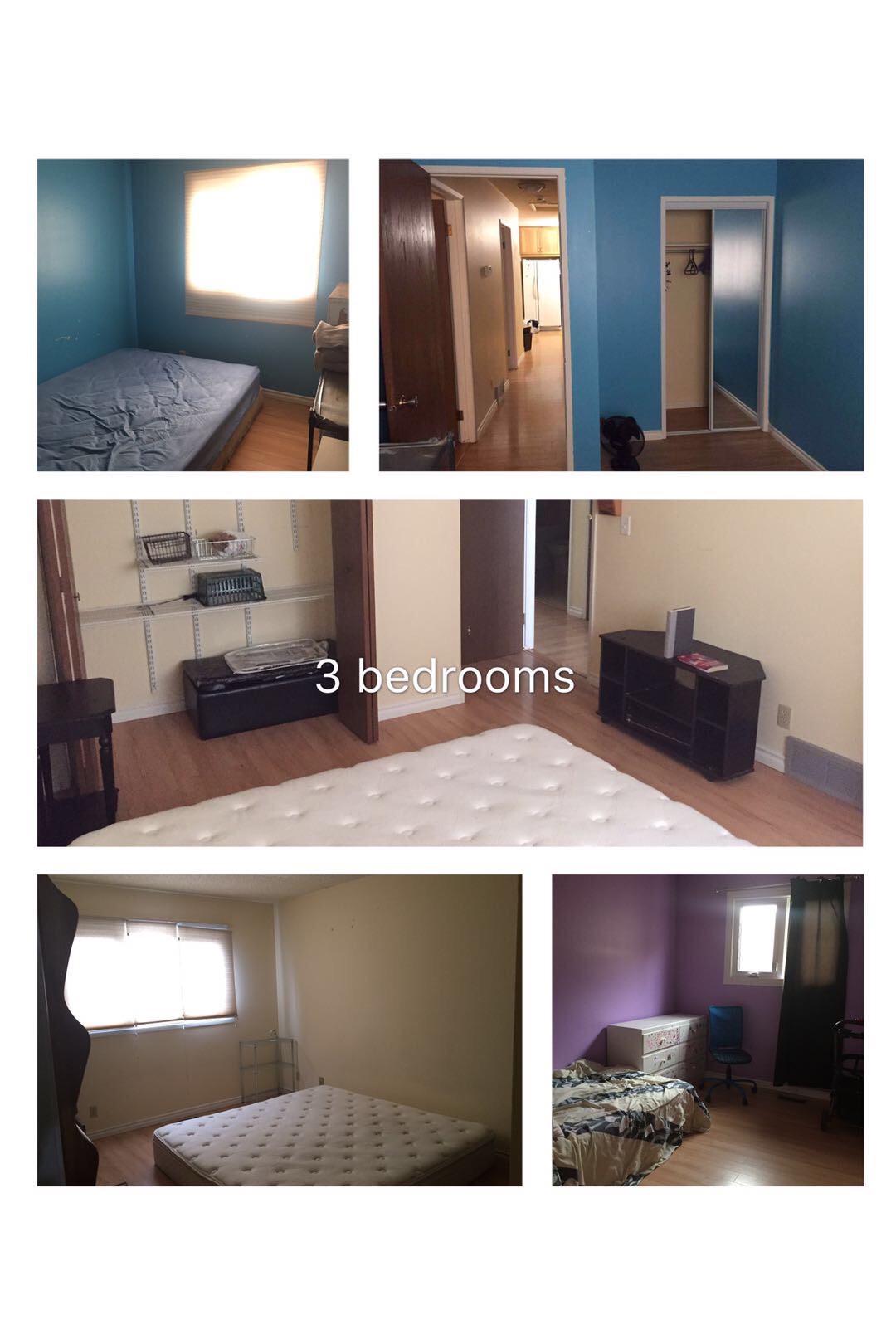 Beddington 整房出租 - 2