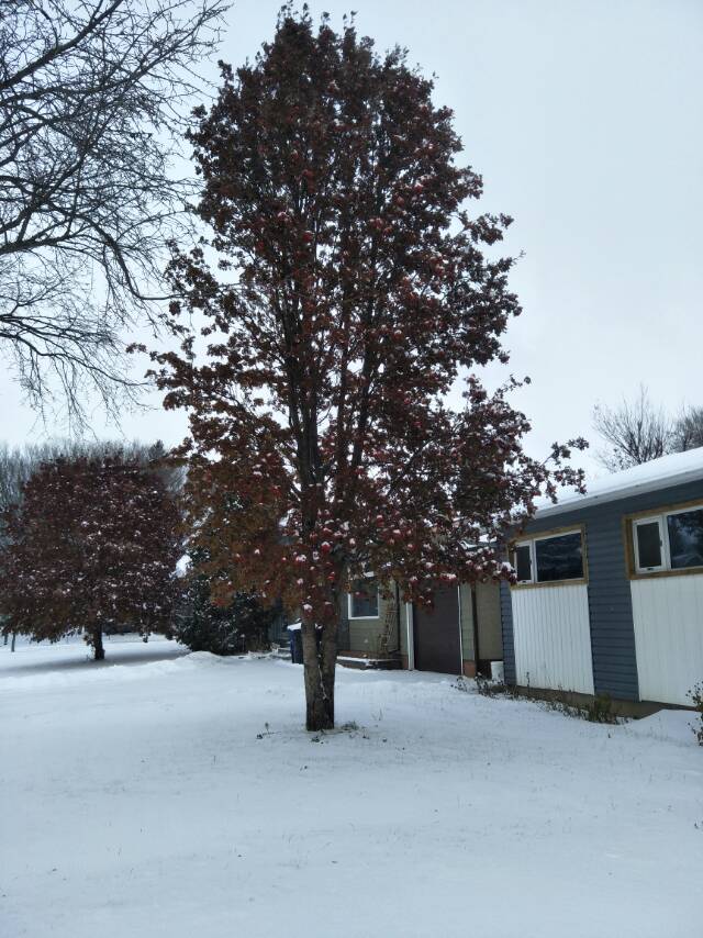 Ar8街附近，超市附近好房出租 - 8