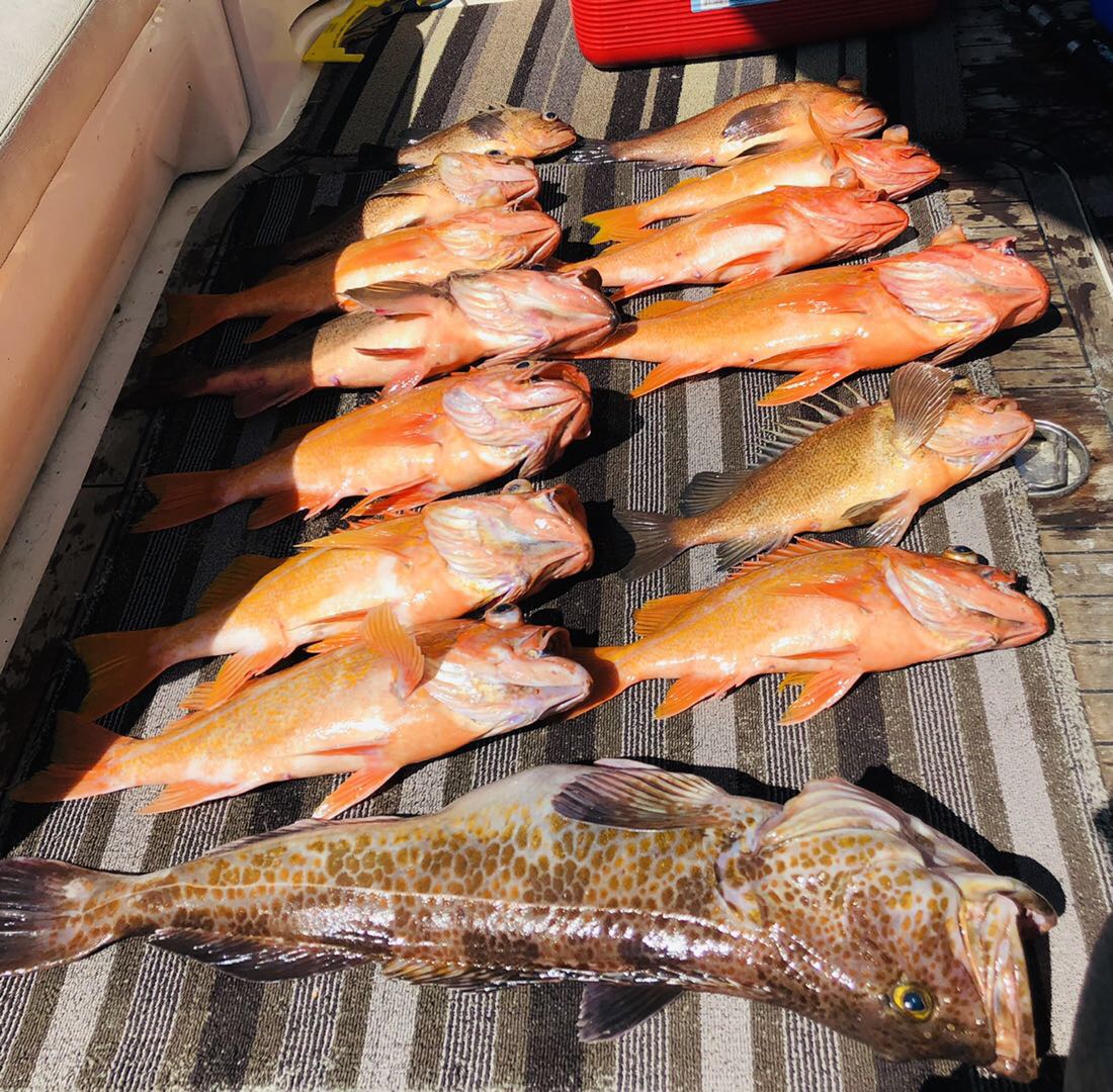 海上，游艇中的生活幸福吗？