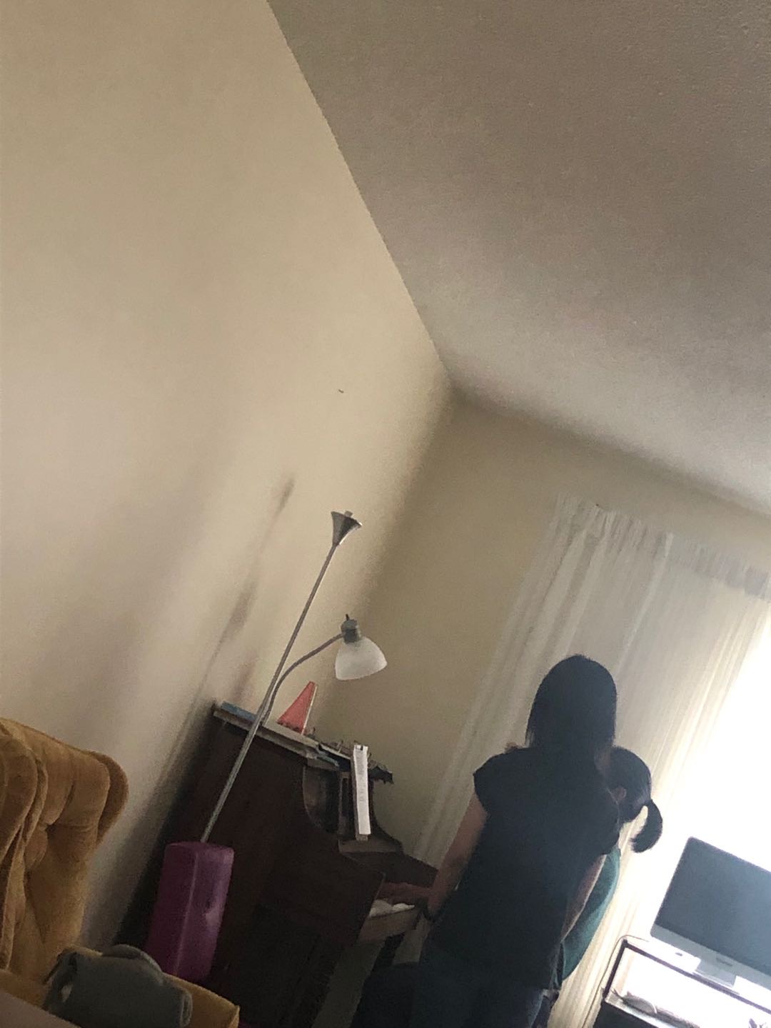 圆梦之露艺术培训，感恩节前报名9.5折！含声乐，视唱练耳，钢琴培训，尤克里里！