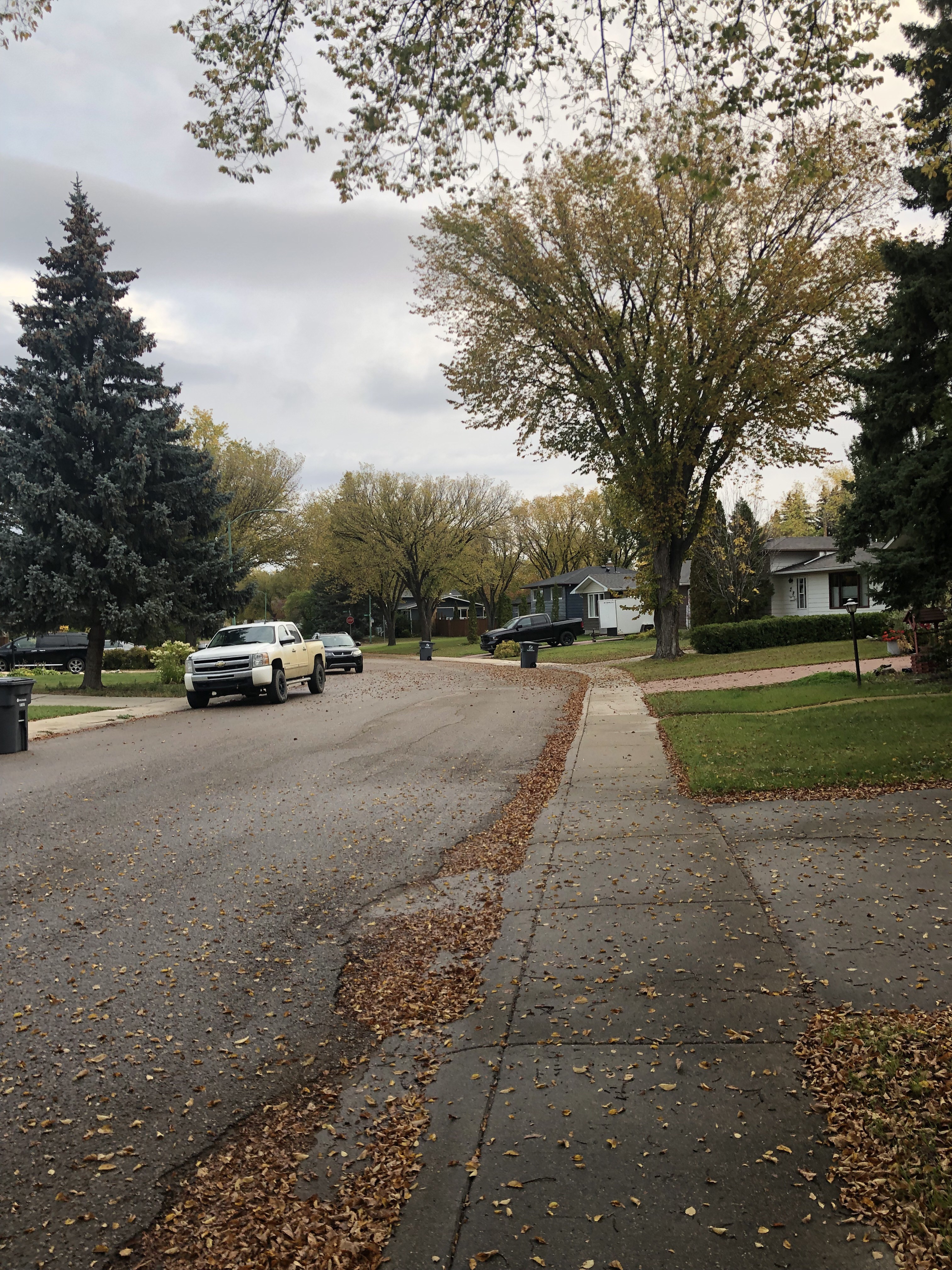 Main street大主卧招男生室友