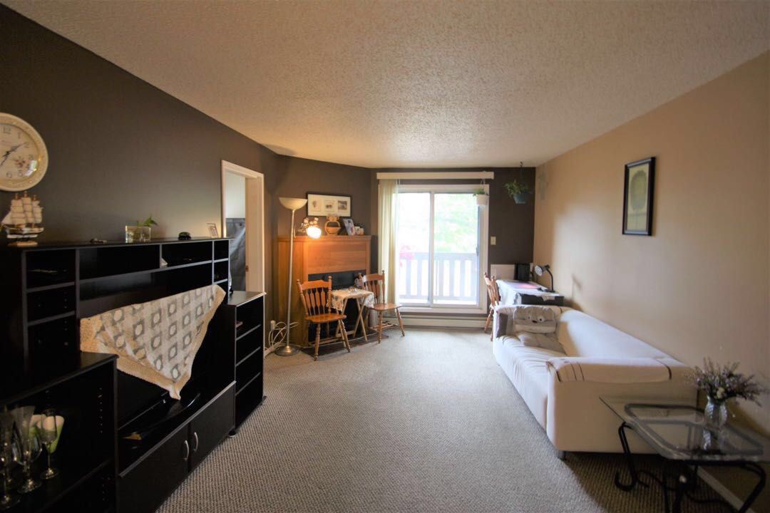 招合租伙伴（450元）