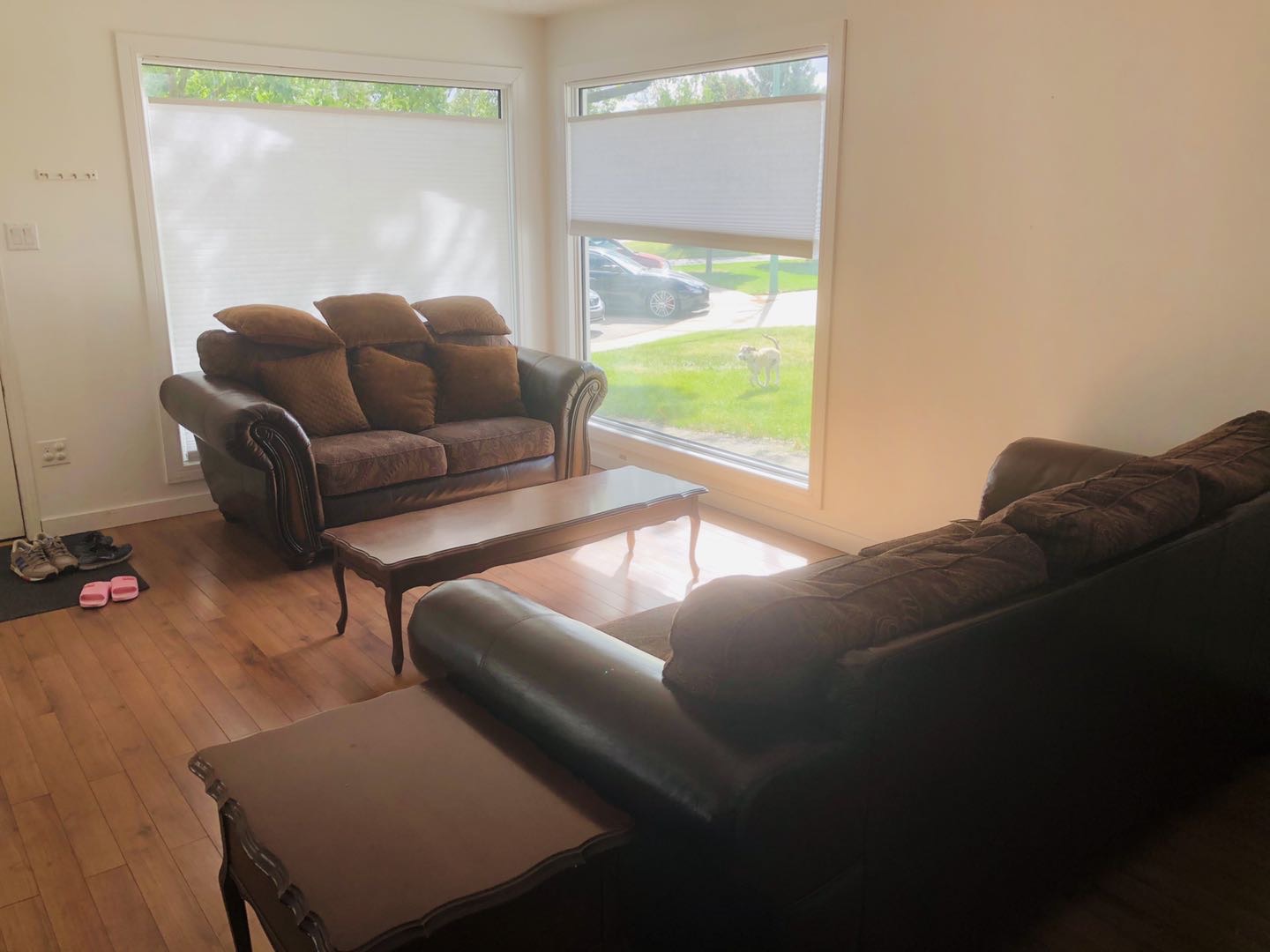 位于8街商圈的独立屋二楼主卧出租，诚招女租客 - 5