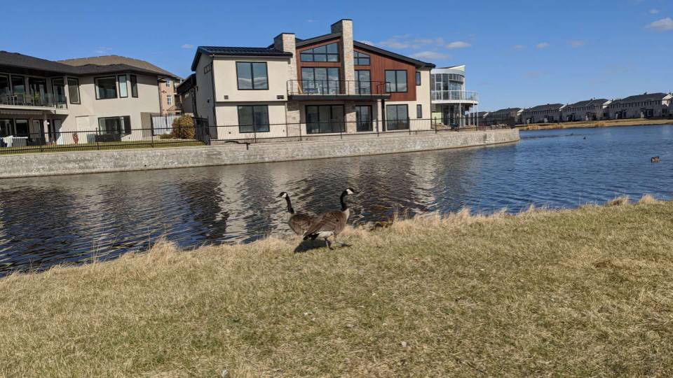 东区两房两卫豪华公寓转租 - 5