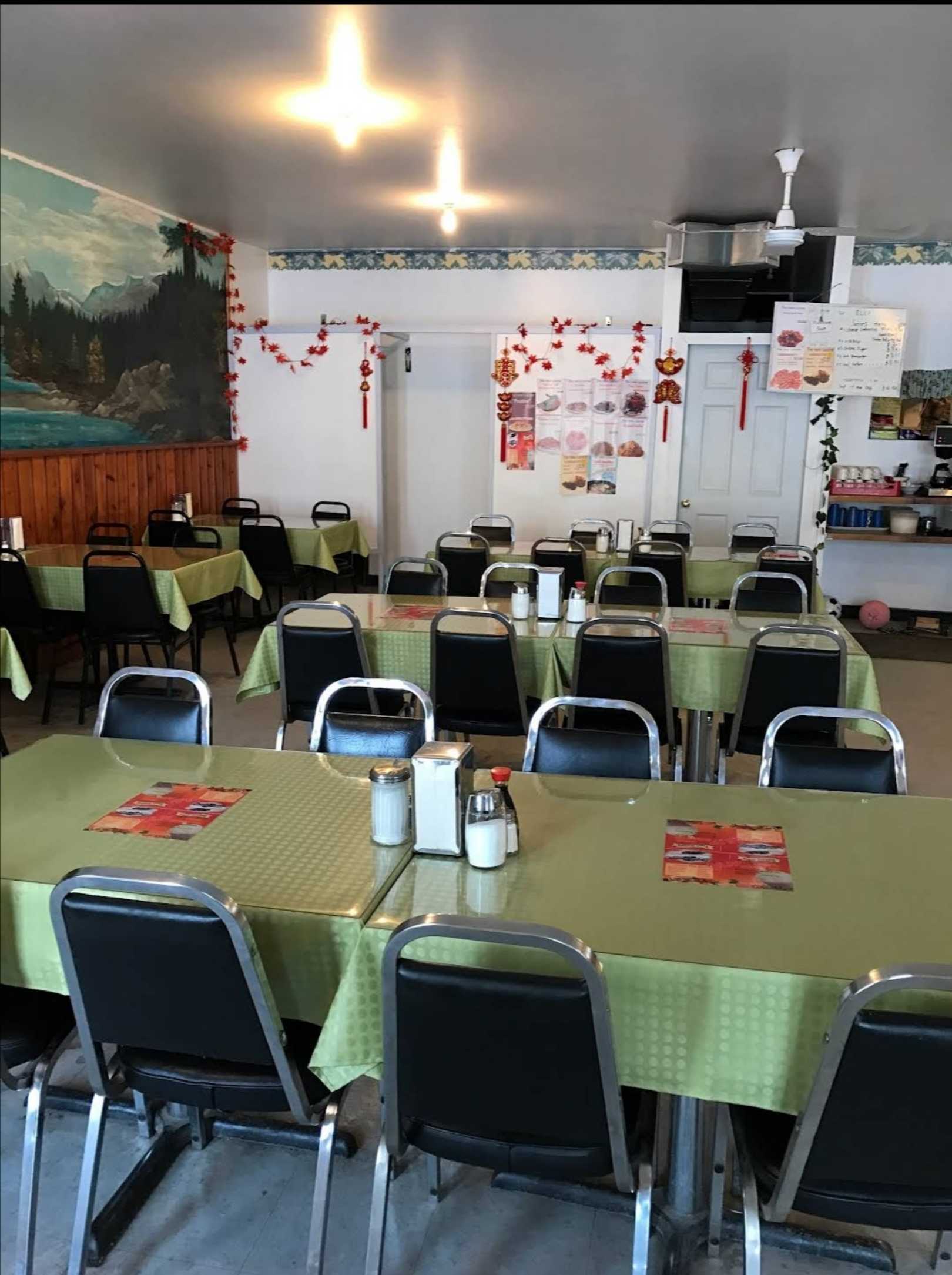 萨省小镇营业中的中西餐馆带物业出售$249000 - 5