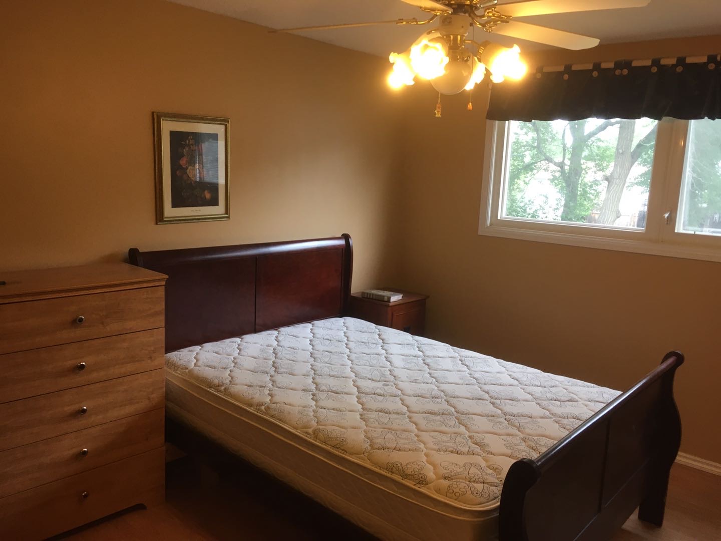 近大学房屋出租 - 2