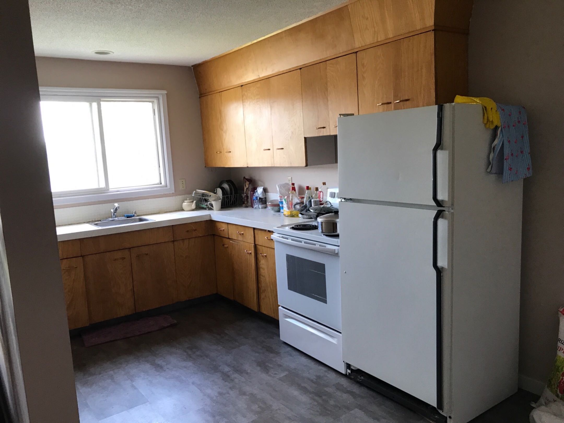 里贾纳3公里大学附近房间出租！ - 10