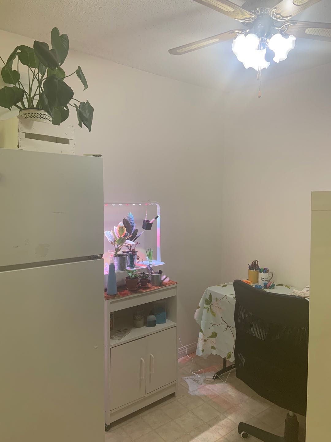 Beltline Area 單身公寓出租 - 7