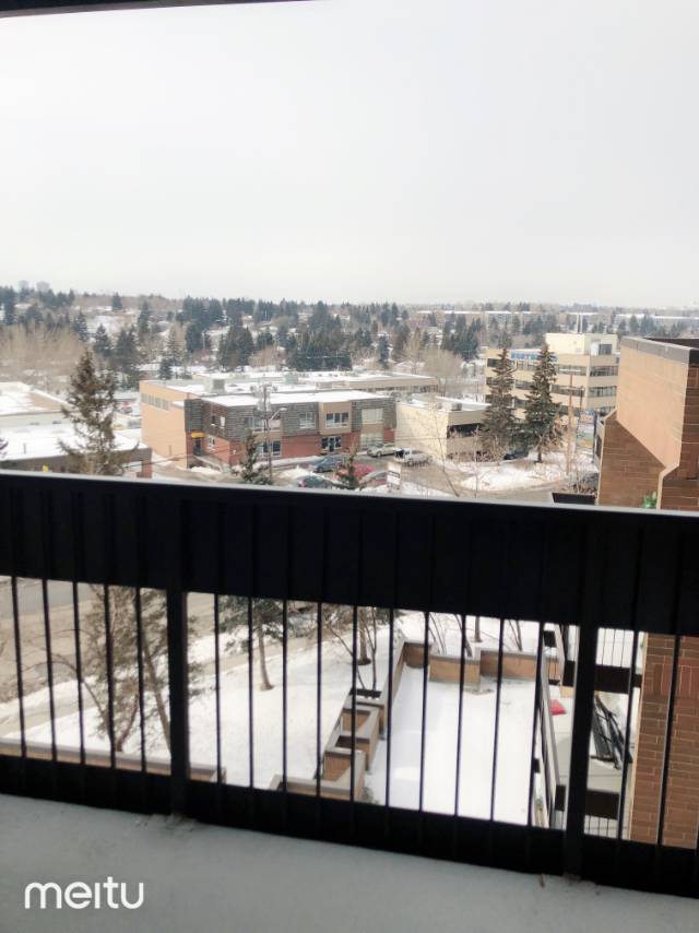 Southland (9800 Horton Road SW)一室一厅高层公寓出租 - 3