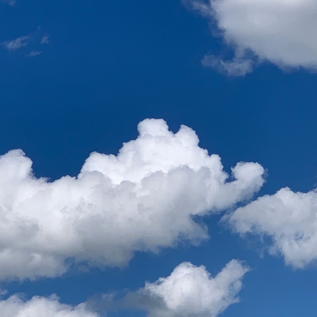 求租非basement房间，价格加微信详谈