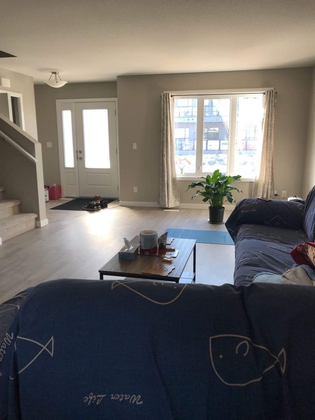 Evergreen townhouse 寻室友 $550/月 - 4