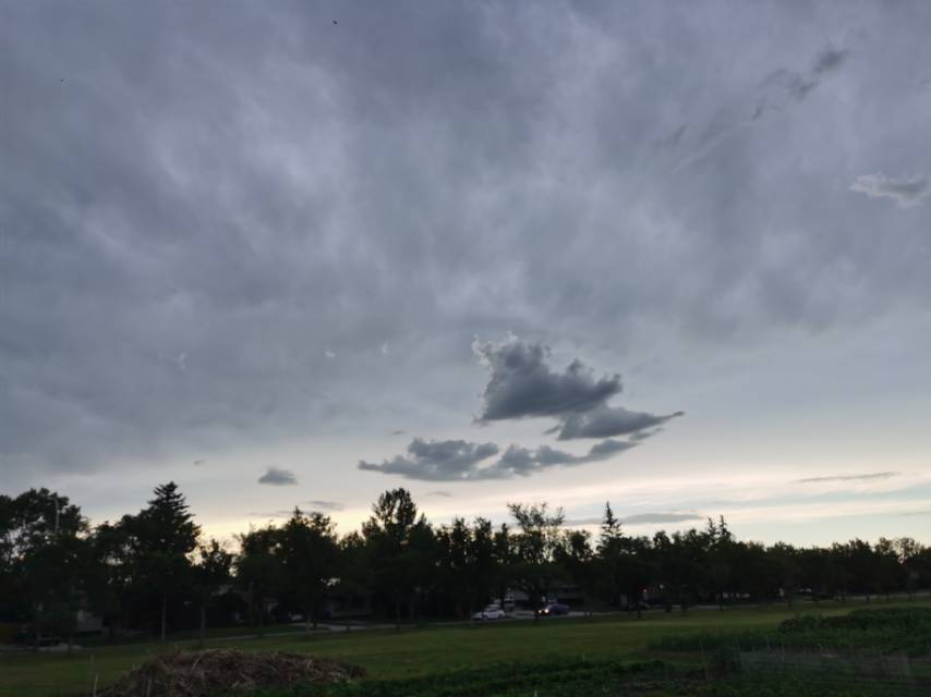 Boardwalk二楼两室一厅木地板公寓转租