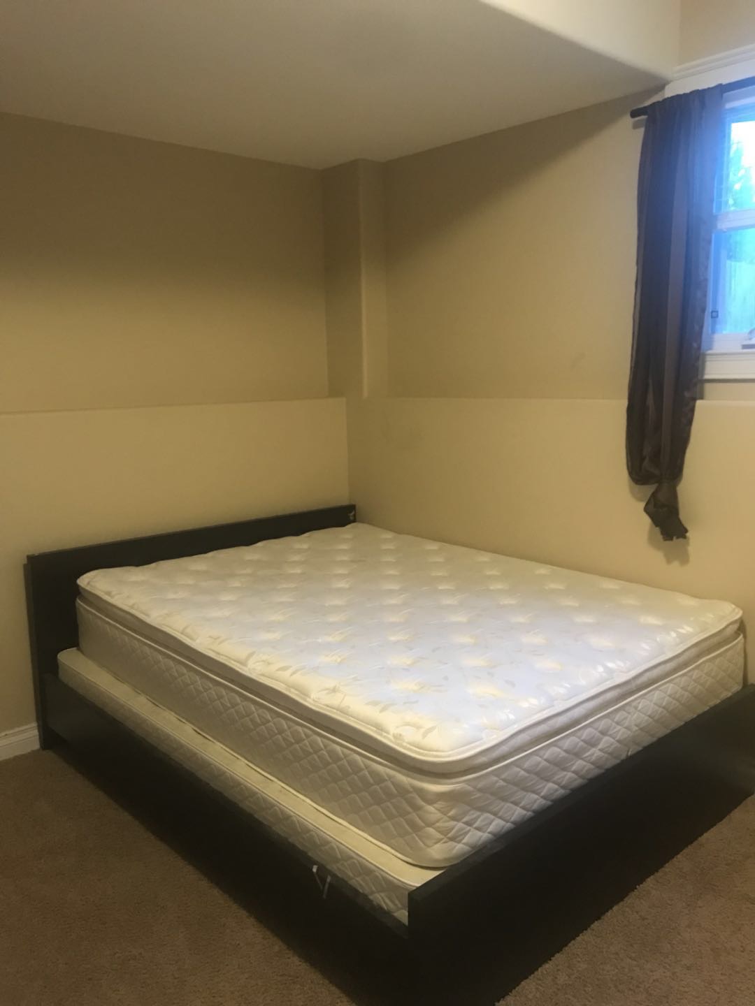 招国际留学生 - 3