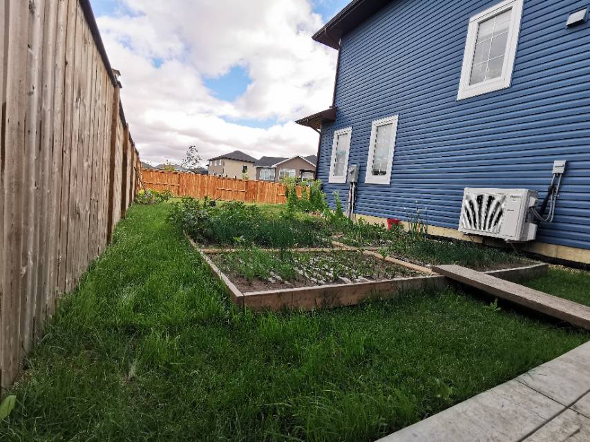 Rosewood独立屋出租 - 3